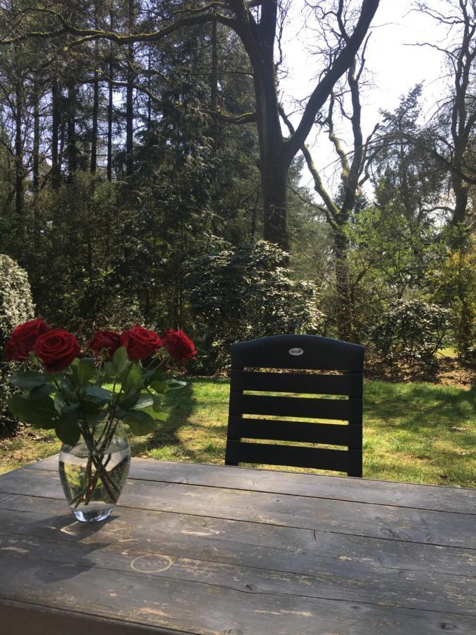 Geschakelde Bungalow Op De Veluwe "De Eekhoorn" Otterlo Exterior foto